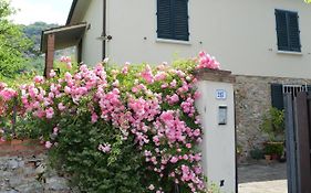 Casa1